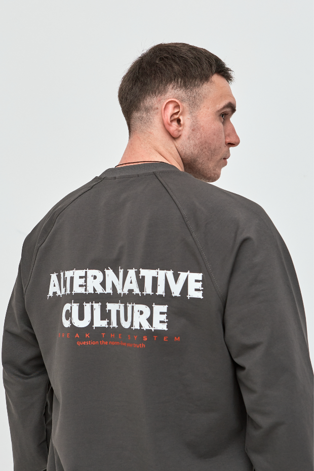 Чоловічий світшот-реглан oversize ALTERNATIVE CULTURE 17652