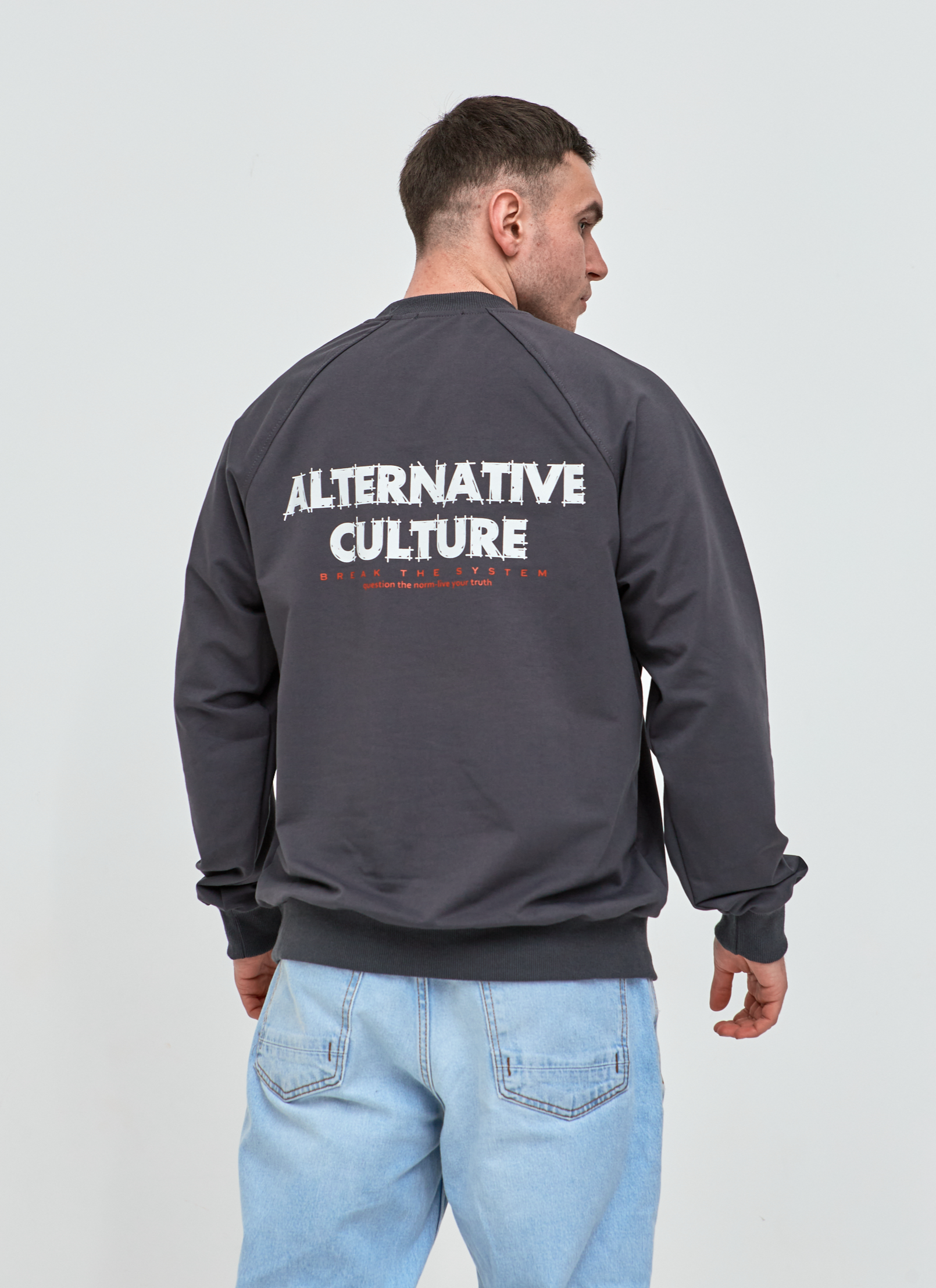 Чоловічий світшот-реглан oversize ALTERNATIVE CULTURE 17652