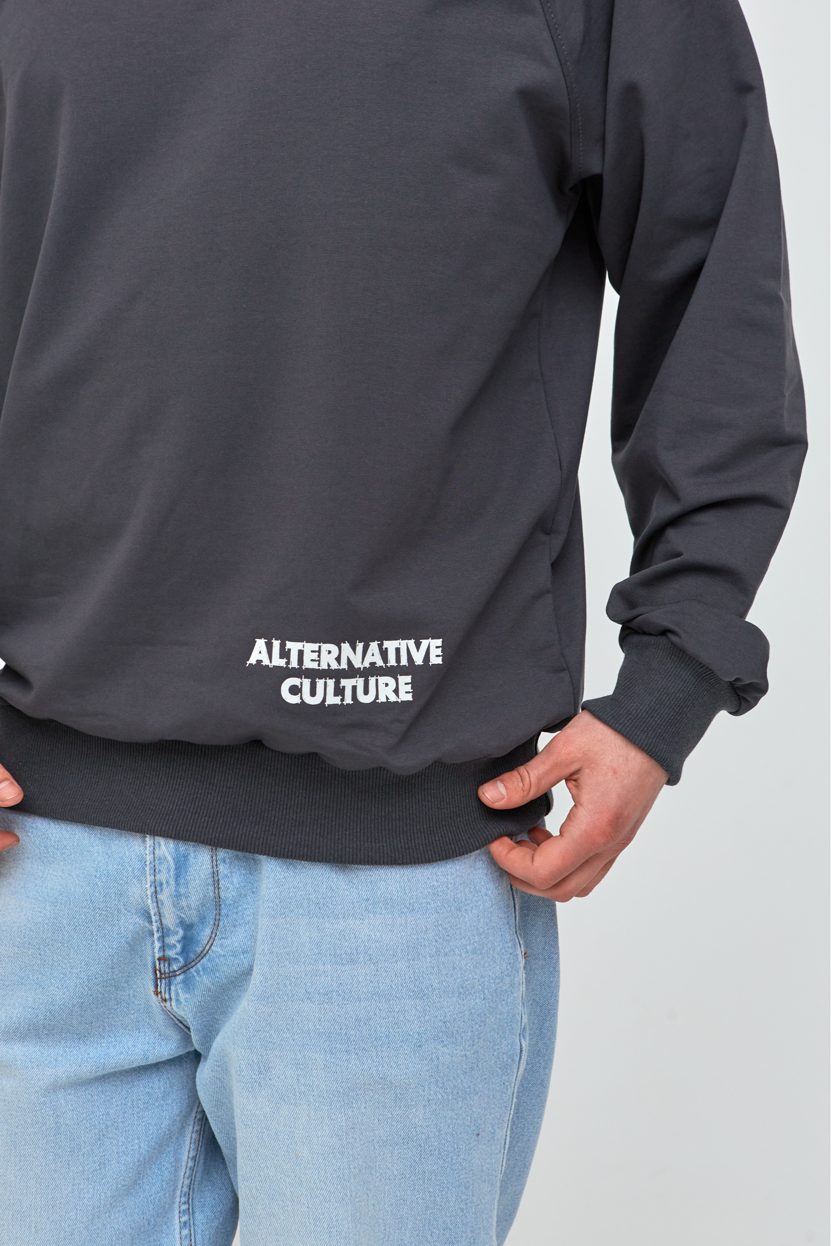 Чоловічий світшот-реглан oversize ALTERNATIVE CULTURE 17652