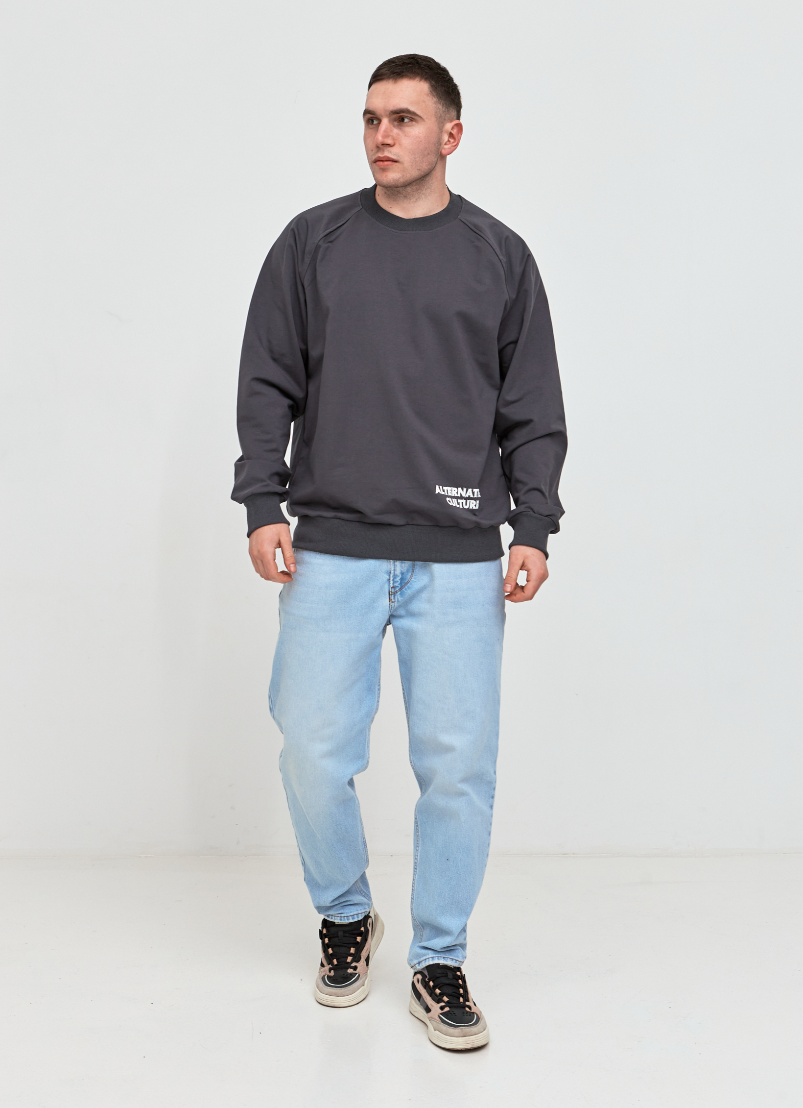 Чоловічий світшот-реглан oversize ALTERNATIVE CULTURE 17652
