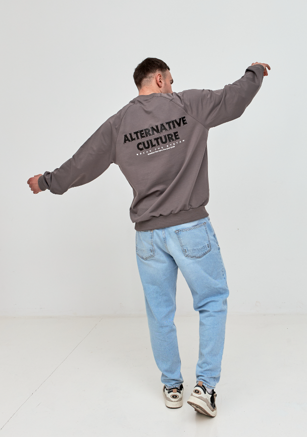 Чоловічий світшот-реглан oversize ALTERNATIVE CULTURE 17652
